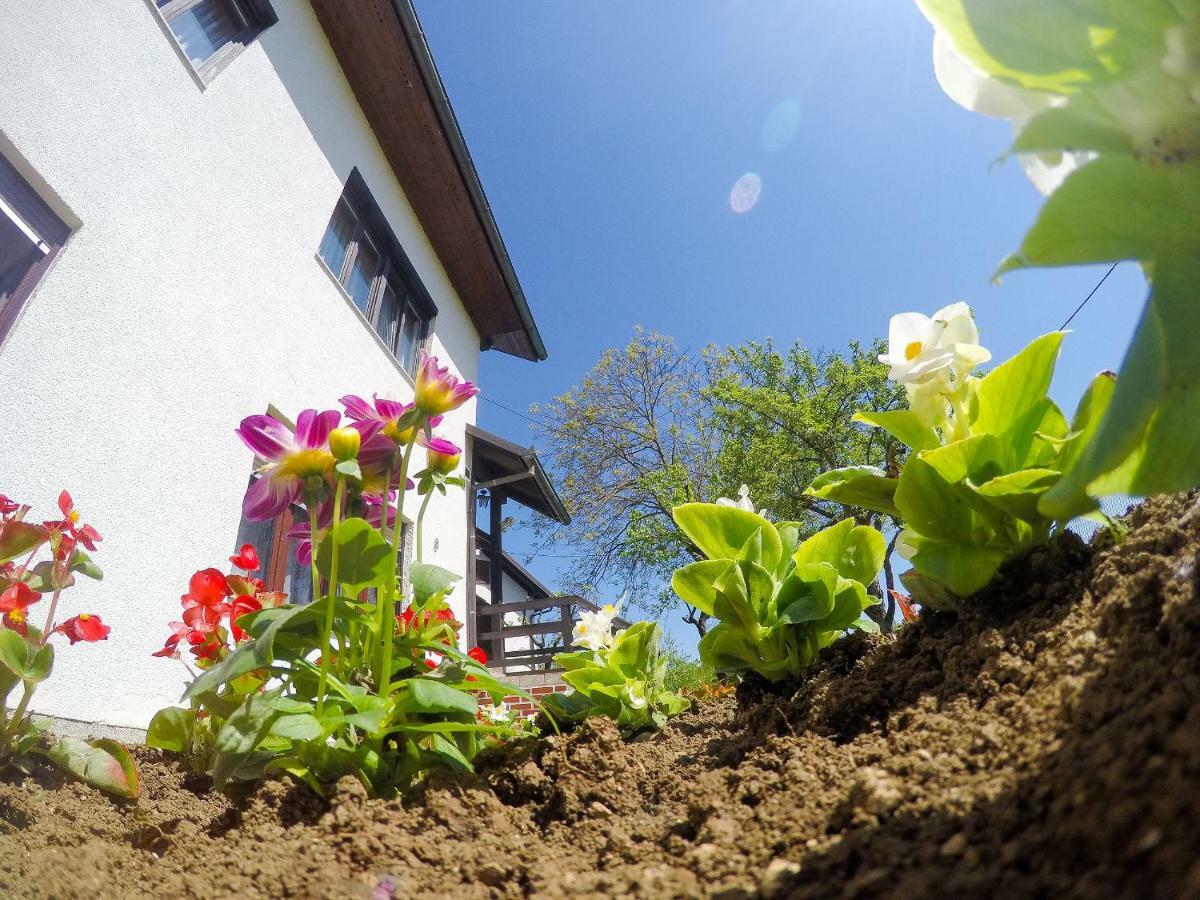 Cherry House Apartment Slunj Exterior foto